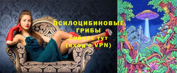 герыч Тихвин