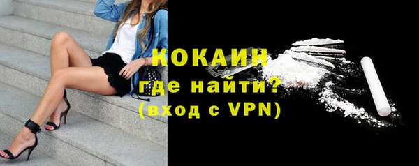 прущие грибы Тобольск