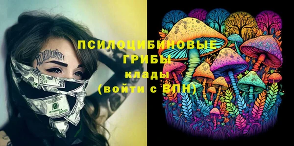 прущие грибы Тобольск