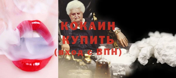 прущие грибы Тобольск