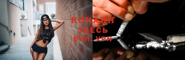 прущие грибы Тобольск