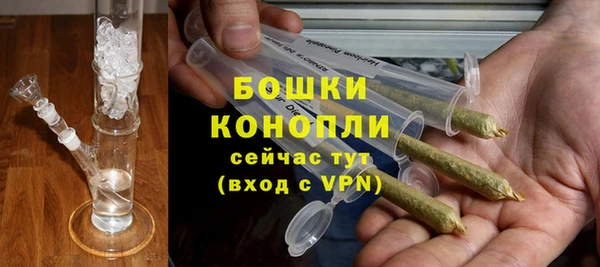 прущие грибы Тобольск