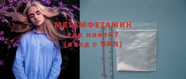 прущие грибы Тобольск