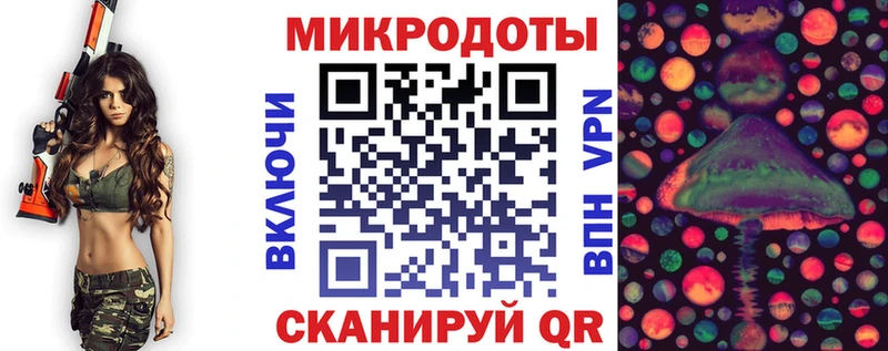 Галлюциногенные грибы Psilocybe  Черноголовка 